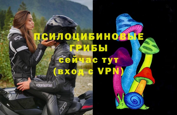 Альфа ПВП Зерноград