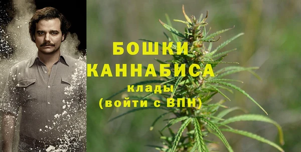 крисы Зеленодольск