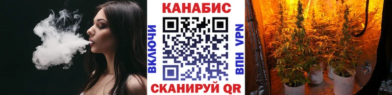 Бошки марихуана MAZAR  Купить где  Белово 